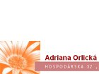 Adriana Orlická salón